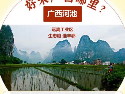 巴马长寿香米真空袋装大米广西农家生态商家用大米工厂批发图2