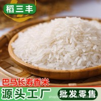 原生态农家米新大米长粒香米软糯早稻长寿之乡米油粘米农产