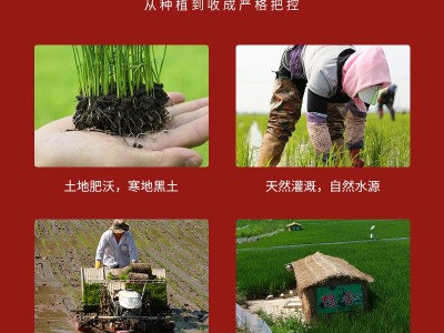 新米当季新米 东北大米 秋田小町 圆粒大米2.5kg包邮真空装图2