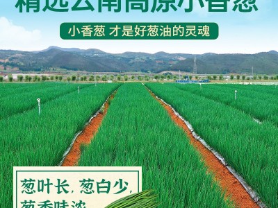 仲景上海葱油酱拌面拌粉荞麦面葱油拌面汁调味料拌面条专用酱230g图3