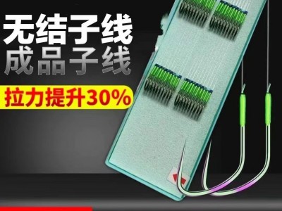 无结子线双钩成品竞技黑坑狼牙鲤鱼抢鱼正钓偷驴新关东超强拉力图3