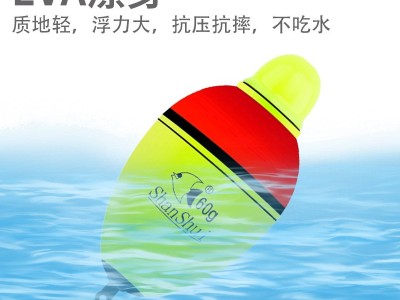 鲢鳙漂咬钩变色漂电子夜光漂大肚漂海竿抛竿远投大浮力漂厂家批发图2