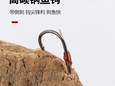 七星漂带钩线组传统钓鱼成品绑好带倒刺全套成品钩线组钓鱼线批发图2