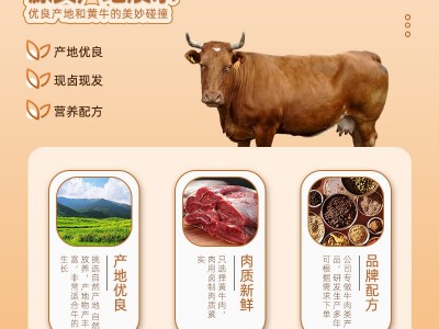 迪可五香酱牛肉河南平顶山叶县特产肉类零食牛肉卤味熟食250g图4