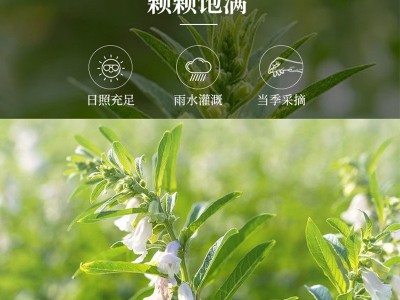 芝麻油小磨香麻油500ml家用瓶装纯香调味油火锅香油蘸料凉拌麻油图4