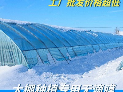 厂家直供无滴大棚膜农用薄膜透明塑料布高透光po膜聚乙烯农膜定制图5