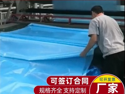 定制透明塑料薄膜大棚膜 PE蓝色透明膜 防尘保温加厚透明塑料布图3