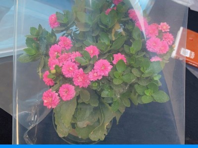 批发农用大棚膜 抗老化长寿无滴膜温室大棚PO膜 养殖种 植专用农膜图4