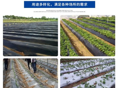 农用地膜银黑防草地膜PE薄膜可打孔保温塑料农膜种菜塑料布聚乙烯图4