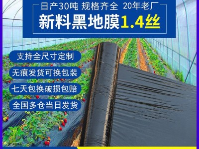 地膜农用薄膜耐老化大棚膜塑料薄膜塑料黑色覆盖除草种菜厂家批发图5