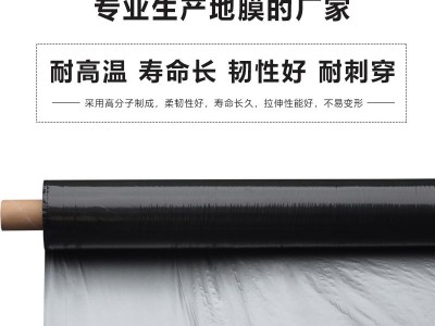 地膜薄膜农用地膜PE聚乙烯银黑膜防草种菜可打孔保温塑料农膜厂家图2