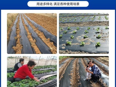 地膜薄膜农用地膜PE聚乙烯银黑膜防草种菜可打孔保温塑料农膜厂家图3
