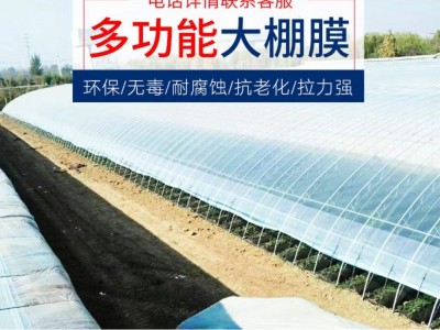 厂家直销PE透明农用塑料薄膜塑料布加厚黑白无滴膜大棚膜PO膜批发图5