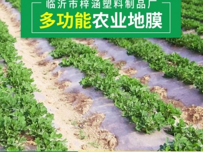 厂家直销黑色除草地膜农用黑地膜保温保湿地膜4公斤/卷图3