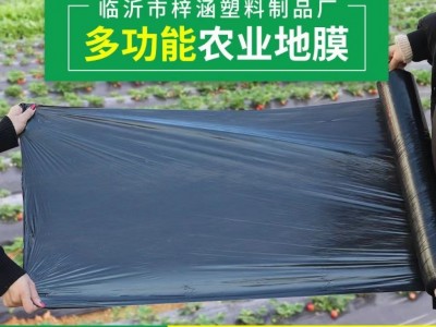 厂家直销黑色除草地膜农用黑地膜保温保湿地膜4公斤/卷图4