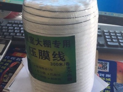 农业大棚专用压膜线白色压膜绳托膜线1.5cm宽300米长一卷图4