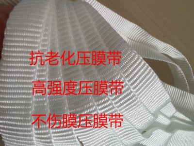 农业大棚专用压膜线白色压膜绳托膜线1.5cm宽300米长一卷图3