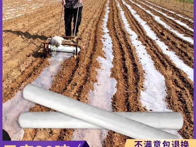 塑料布地膜透明塑料大棚膜保温膜新料薄膜农用温室蔬菜农膜塑料膜图4