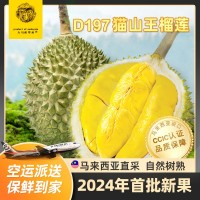 马来西亚D197猫山王榴莲整果 液氮冷冻果水果一件代发团购