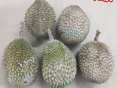 马来西亚D197猫山王榴莲整果 液氮冷冻果水果一件代发团购图3