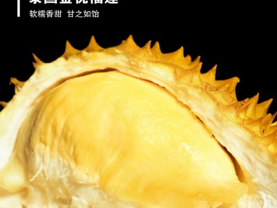 冻榴莲新果A级金枕头肉冷冻无核冰冻去壳水果一件代发图4