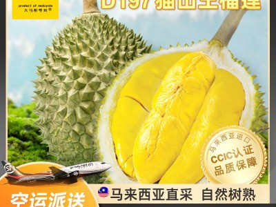 冻榴莲新果A级金枕头肉冷冻无核冰冻去壳水果一件代发图5