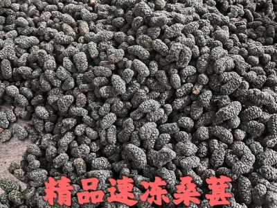产地直销A级速冻桑葚冷冻去蒂桑葚果汁原料冷冻桑葚果汁速冻水果图3