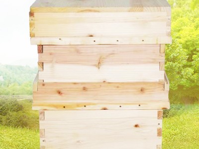 厂家直供养蜂工具意蜂杉木韩式十框双层蜂箱 跨境韩式蜂箱厂家订图3