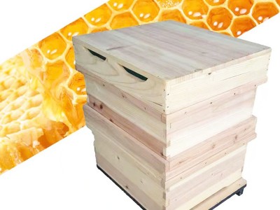 厂家直供养蜂工具意蜂杉木韩式十框双层蜂箱 跨境韩式蜂箱厂家订图2
