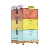厂家批发金圣宫保温塑料蜂箱 新款彩色塑料保温蜜蜂箱批发养蜂箱