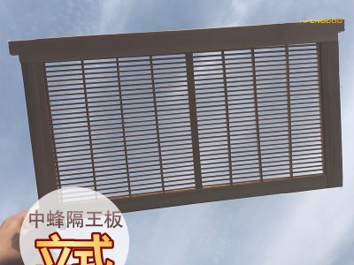 隔王板中蜂立式隔王板蜂具养蜂工具蜂箱巣框巢础摇蜜机养蜂工具图3