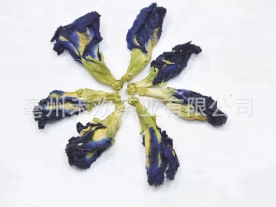 出口云南蝶豆花 蓝蝴蝶 蝶豆花茶 精选过筛 支持出口商检图5