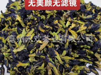 出口云南蝶豆花 蓝蝴蝶 蝶豆花茶 精选过筛 支持出口商检图2