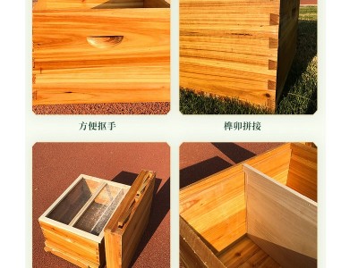 蜜蜂箱蜂具 全套杉木养蜂巢框标准蜂箱 浸蜡煮蜡蜂箱中蜂 蜂桶批发图4