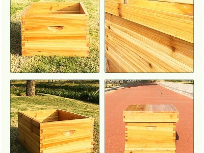 蜜蜂箱蜂具 全套杉木养蜂巢框标准蜂箱 浸蜡煮蜡蜂箱中蜂 蜂桶批发图2