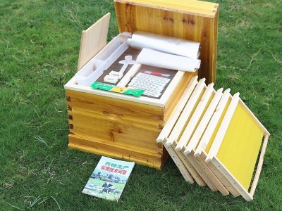 中蜂箱全套养蜂工具图4