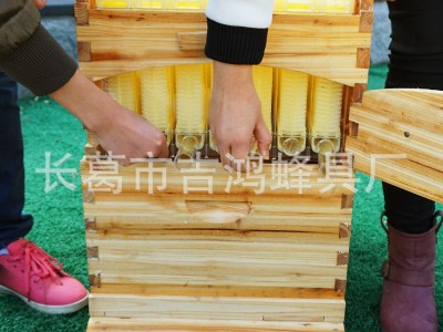 内销款 全套自流蜜装置 自动流蜜蜂箱巢脾巢框蜂巢蜜蜂取蜜蜂巢图2
