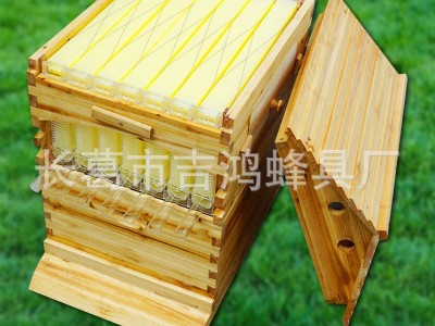 内销款 全套自流蜜装置 自动流蜜蜂箱巢脾巢框蜂巢蜜蜂取蜜蜂巢图3