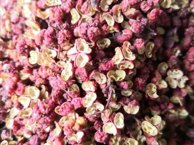 香料大全八角桂皮小茴香叶草果山奈砂仁白扣荜拨丁香孜然调味卤料图2