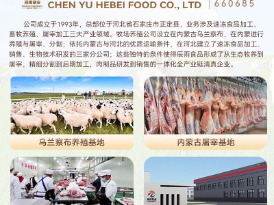 内蒙肚包羊肉工厂批发代加工羊肉肠内蒙古特产羊肚包肉新鲜生鲜图3