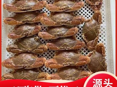 拥剑蟹东山岛海蟹扁蟹肉蟹梭子蟹麻辣蟹排清蒸螃蟹野生放笼水产品图3