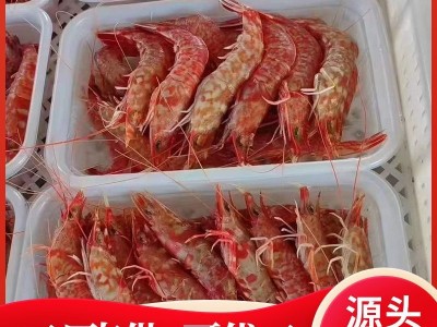 野生樱花虾刺身甜虾鲜活冷冻特大鸡冠虾斑节虾新鲜海虾海鲜水产品图2
