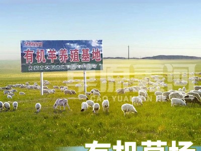 正宗内蒙古羔羊肉片原切250g盒装烧烤火锅食材涮锅羔羊肉批发图2