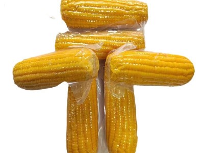 源头厂家直销水果玉米批发代发真空包装爽脆多汁开袋即食240克装图2