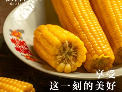 东北黄糯玉米260g以上16cm软糯香甜真空包装原产地直采厂家批发图3