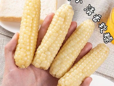 云南西双版纳拇指玉米新鲜甜香白糯迷你宝宝手指玉米早餐代餐图3