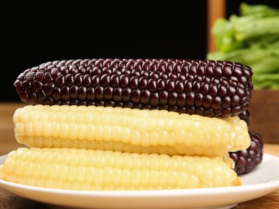 云南西双版纳拇指小玉米香甜软糯鲜真空包装白糯玉米即食代餐粗粮图4