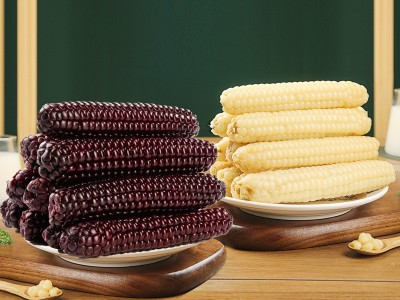 云南西双版纳拇指小玉米香甜软糯鲜真空包装白糯玉米即食代餐粗粮图2