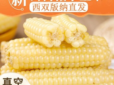 云南西双版纳拇指玉米新鲜真空手指小玉米迷你现摘甜白香糯宝宝餐图3