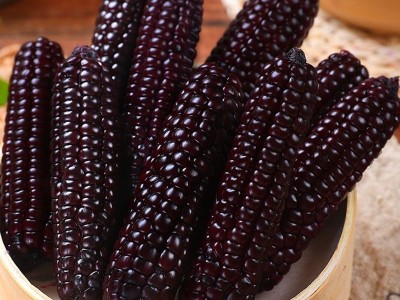云南西双版纳拇指玉米新鲜真空手指小玉米迷你现摘甜白香糯宝宝餐图2